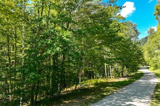 2-63 Goshawk Drive 2-63, Plymouth, VT 05056