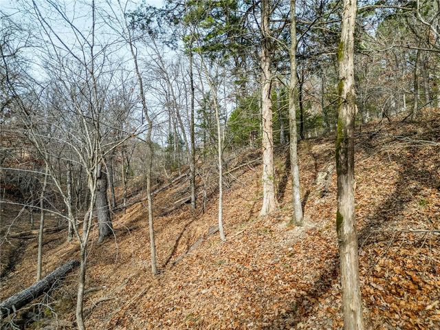 Lot 6 Blisslake Lane, Rogers, AR 72756
