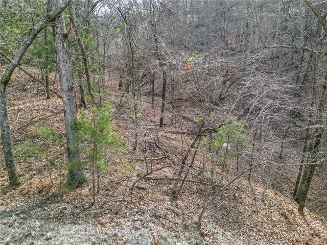 Lot 6 Blisslake Lane, Rogers, AR 72756