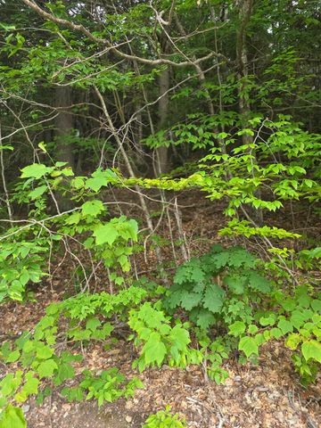 113 BELL VALLEY Road, Campton, NH 03223