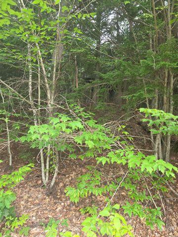 113 BELL VALLEY Road, Campton, NH 03223