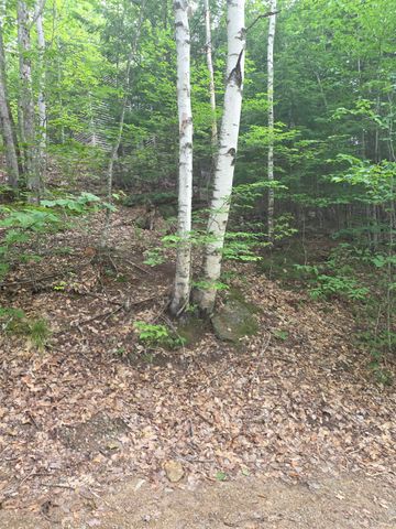 113 BELL VALLEY Road, Campton, NH 03223