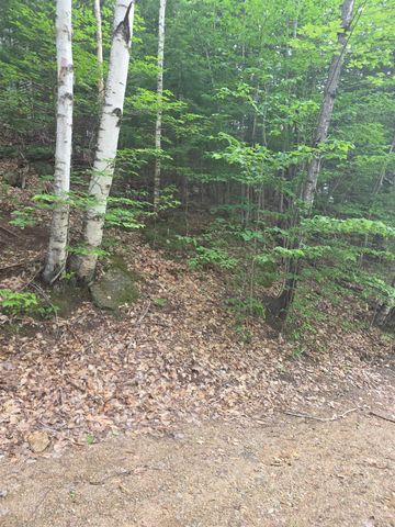 113 BELL VALLEY Road, Campton, NH 03223