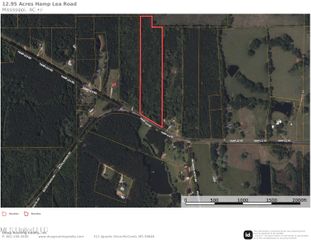 Tbd Hamp Lea Road, Magnolia, MS 39652