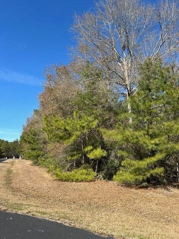 17751 Appaloosa Drive, Waller, TX 77484