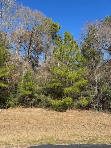 17751 Appaloosa Drive, Waller, TX 77484