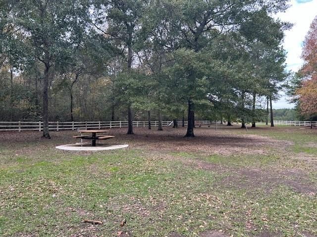 17751 Appaloosa Drive, Waller, TX 77484