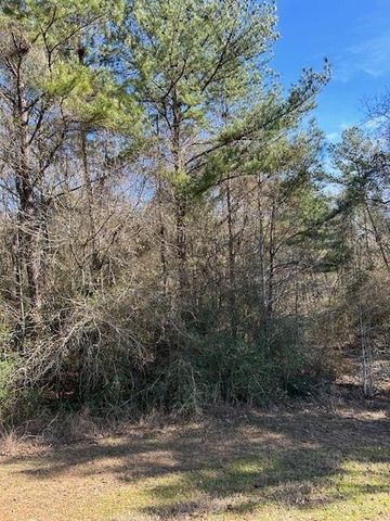 17751 Appaloosa Drive, Waller, TX 77484