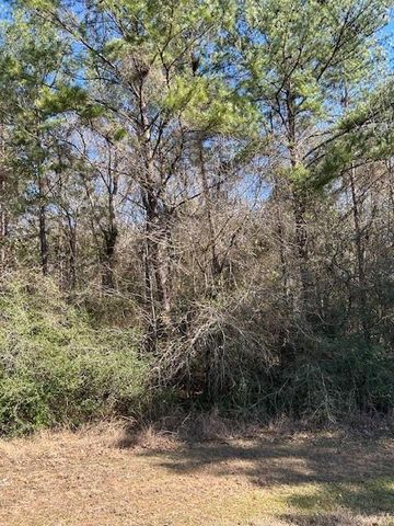 17751 Appaloosa Drive, Waller, TX 77484