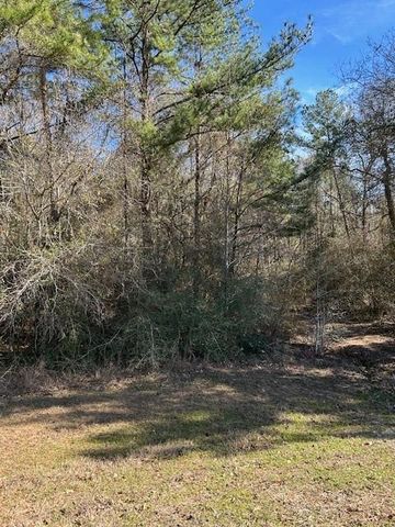17751 Appaloosa Drive, Waller, TX 77484