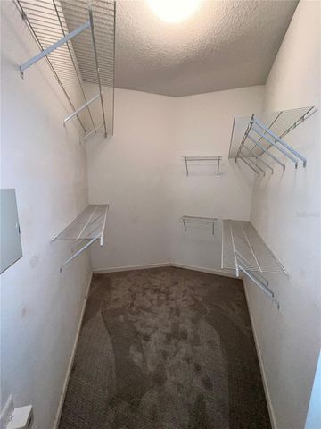 11418 GLENMONT DRIVE, Tampa, FL 33635