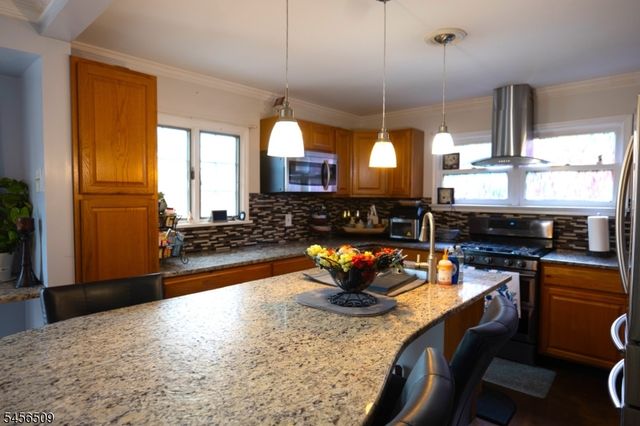 11 Mastogen Dr, Somerville Boro, NJ 08876