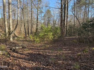 805 Bogard Creek Road, Cosby, TN 37722