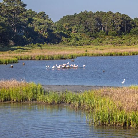 226 Old House Lane, Dewees Island, SC 29451