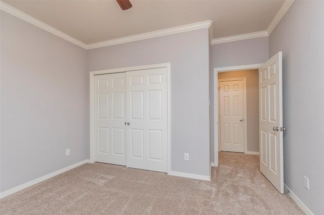 10126 Holly Chase Drive, Houston, TX 77042