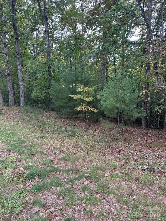 00 Pleasant Hill Road, Franklin, NC 28734