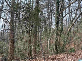 5455 VICKSBURG CIRCLE, Birmingham, AL 35210
