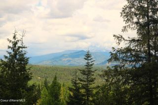 718C Slippery Slope Trail, Priest River, ID 83856
