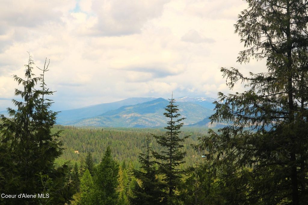 718C Slippery Slope Trail, Priest River, ID 83856