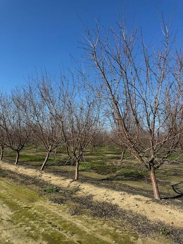 0 Avenue 12, Madera, CA 93637