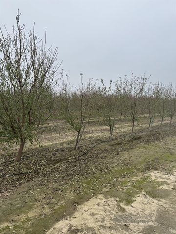 0 Avenue 12, Madera, CA 93637