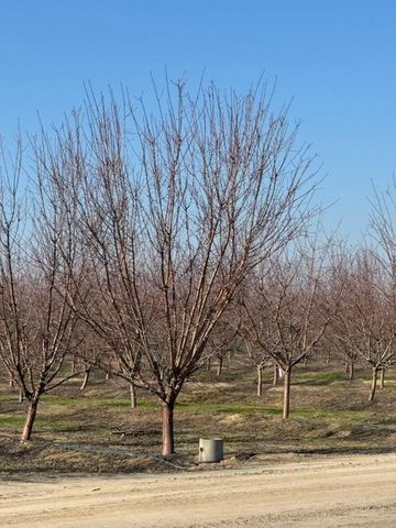 0 Avenue 12, Madera, CA 93637