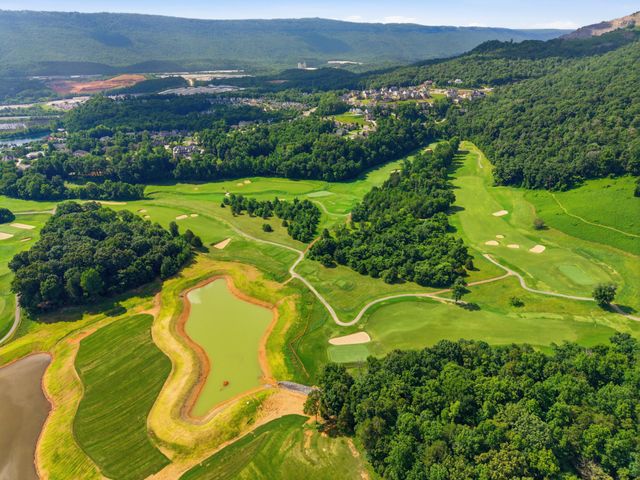 309 Renaissance Court, Chattanooga, TN 37419