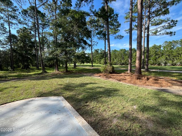 1395 Sapelo Park Drive NE, Townsend, GA 31331