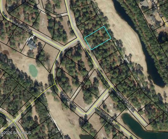1395 Sapelo Park Drive NE, Townsend, GA 31331