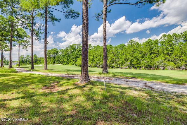 1395 Sapelo Park Drive NE, Townsend, GA 31331