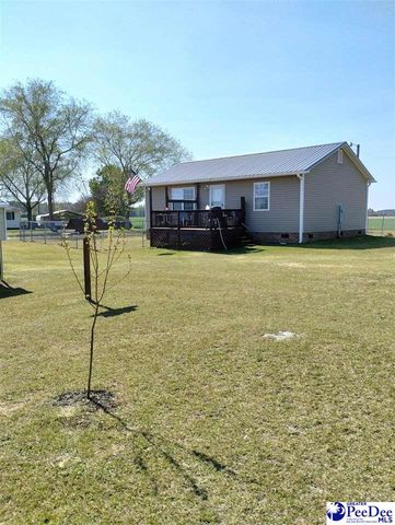 360 Arcadia Rd, Lamar, SC 29069