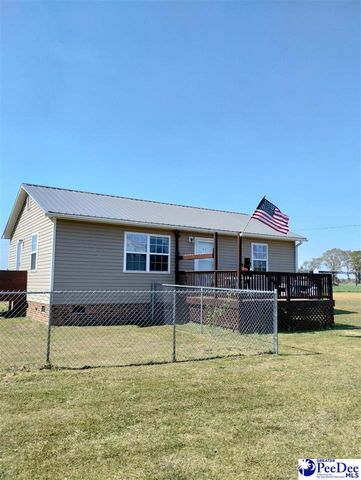 360 Arcadia Rd, Lamar, SC 29069