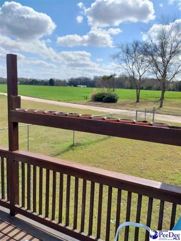 360 Arcadia Rd, Lamar, SC 29069