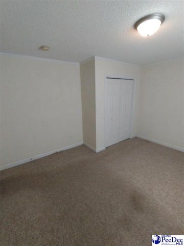 360 Arcadia Rd, Lamar, SC 29069