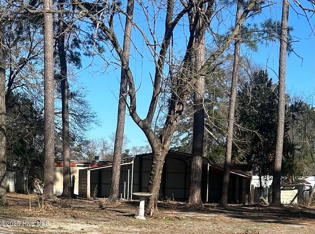 206 Waldrop Road, Dudley, NC 28333