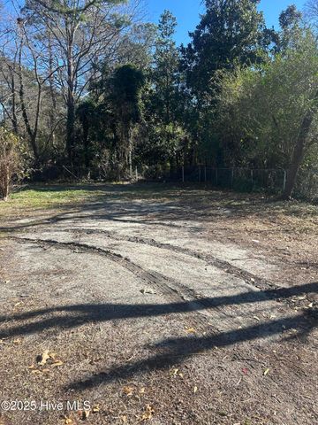 206 Waldrop Road, Dudley, NC 28333