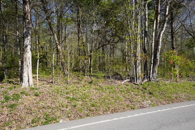 4205 Hwy 49, Tennessee Ridge, TN 37178