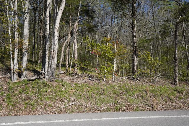 4205 Hwy 49, Tennessee Ridge, TN 37178