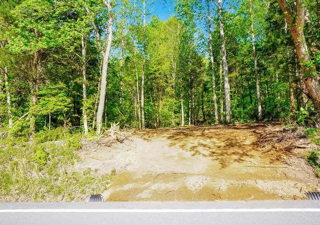 4205 Hwy 49, Tennessee Ridge, TN 37178