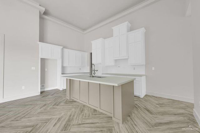 2305 Trinity Avenue, Mcallen, TX 78504