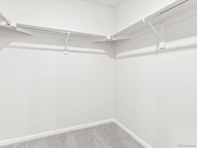 1600 Riverplace Dr 3, Windsor, CO 80550