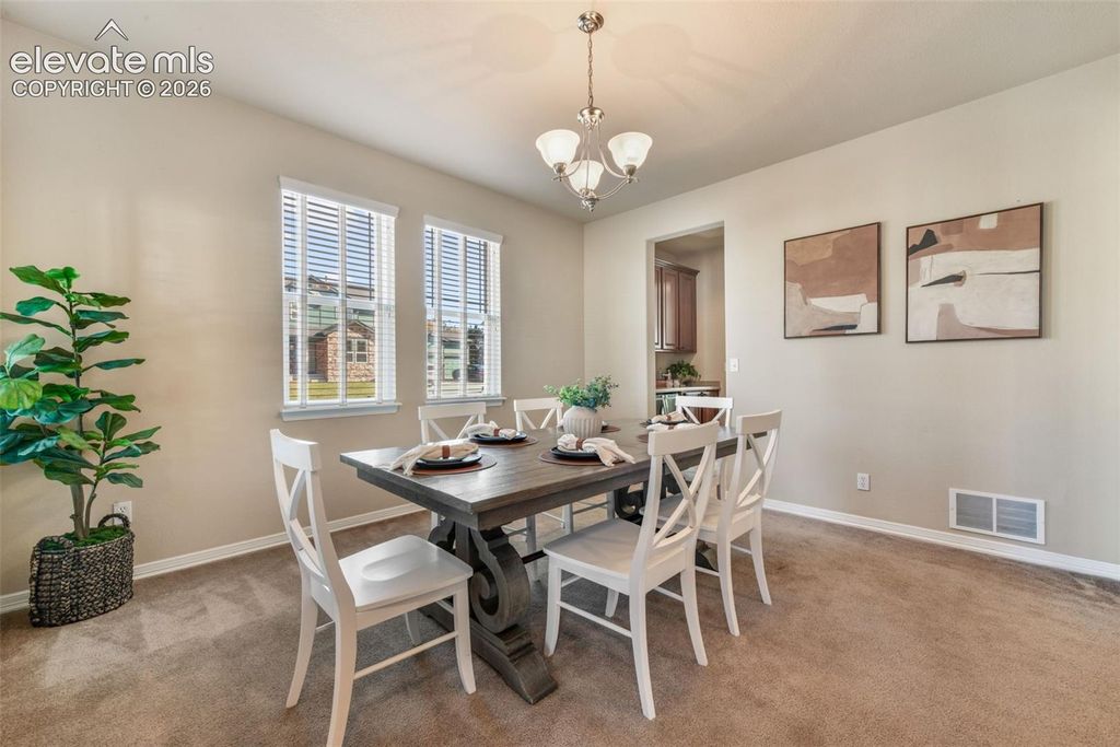 13867 Antelope Pass Place, Colorado Springs, CO 80921 — photo 4