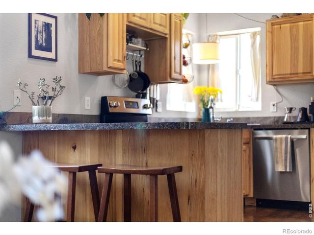 508 W 3rd Street, Nederland, CO 80466