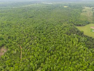 2361 Colony Road, Gruetli Laager, TN 37339