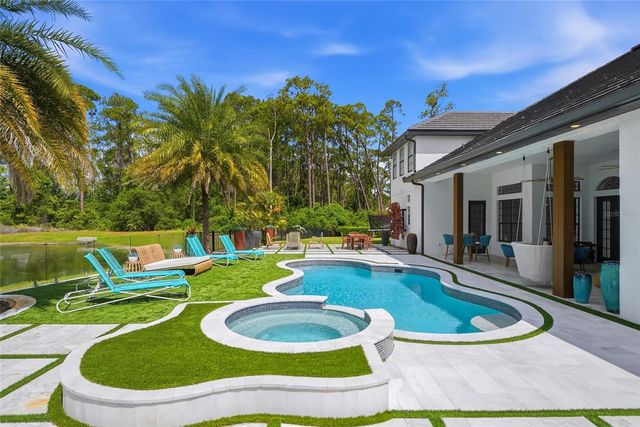 6550 CARTMEL LANE, Windermere, FL 34786