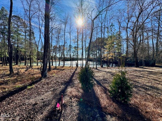 45 Covey Rise Way, Lillington, NC 27546