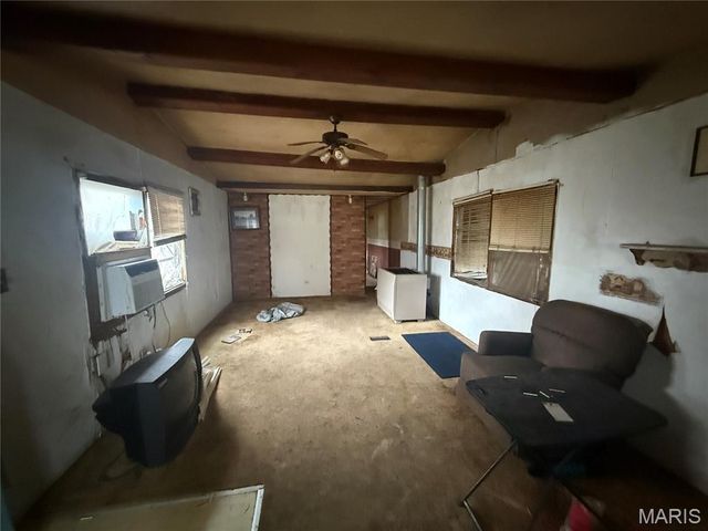 55 Delmo Street, Sikeston, MO 63801