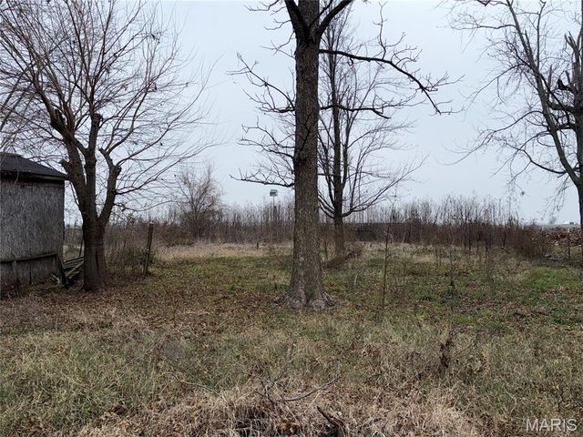 55 Delmo Street, Sikeston, MO 63801