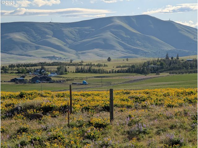 905 Randall Rd Lot 2, Centerville, WA 98613