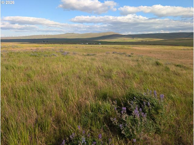 905 Randall Rd Lot 2, Centerville, WA 98613